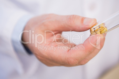 Scientist holding tube with seed