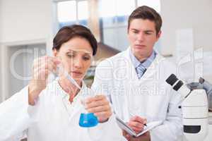 Scientists examining attentively pipette with blue fluid