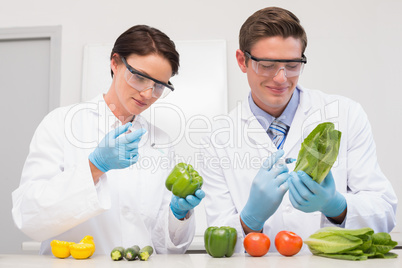 Scientists examining vegetables