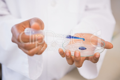 Scientist examining blue fluid in petri dish