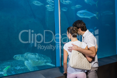 Happy couple looking at fish tank