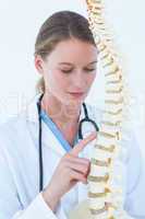Female doctor with anatomical spine
