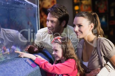 Happy family looking at fish tank