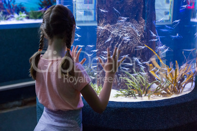 Cute girl looking at fish tank