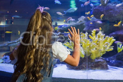 Little girl looking at fish tank