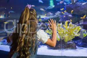 Little girl looking at fish tank