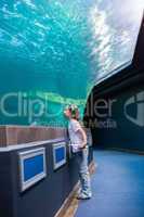 Little girl looking at fish tank