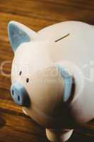 Blue and white piggy bank