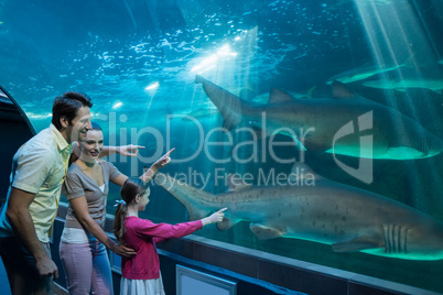 Happy family looking at tank