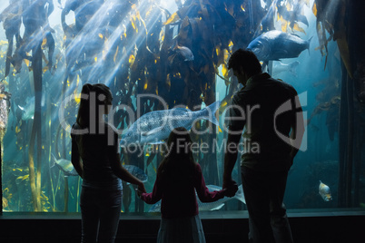 Happy family looking at fish tank