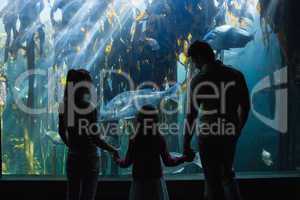 Happy family looking at fish tank