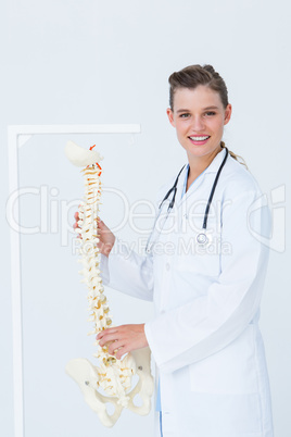 Doctor holding an anatomical spine