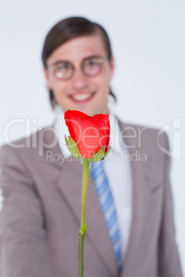 Geeky businessman offering a rose Geeky businessman offering a rose