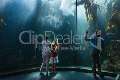 Family looking at fish tank