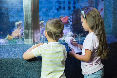 Cute siblings looking at fish tank