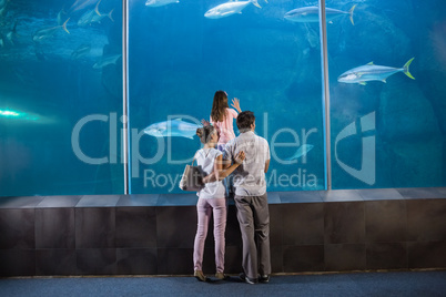 Happy family looking at fish tank