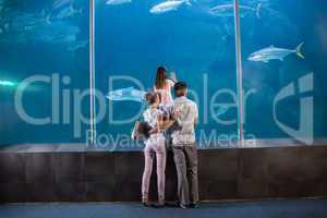 Happy family looking at fish tank