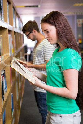 Students reading in the library