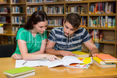 Students studying together in the library