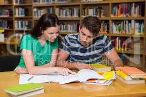 Students studying together in the library