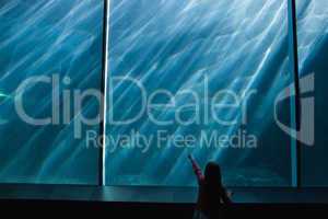 Little girl looking up at fish in tank