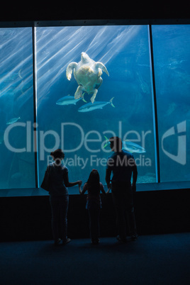 Happy family looking at fish tank