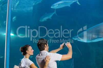 Couple taking photo of shark