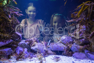 Cute girls looking at fish tank