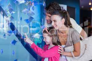 Happy family looking at fish tank