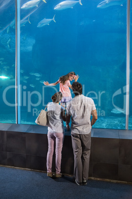 Happy family looking at fish tank