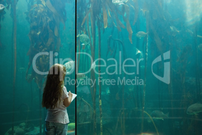 Little girl looking at fish tank