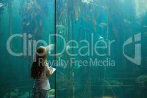 Little girl looking at fish tank