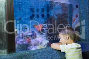 Cute boy looking at fish tank