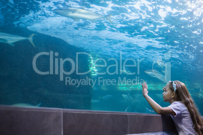 Little girl looking at fish tank