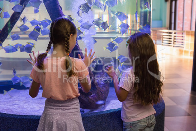 Cute children looking at fish tank