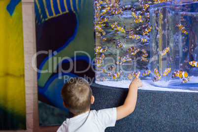 Little siblings looking at fish tank