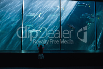 Little girl looking up at fish in tank