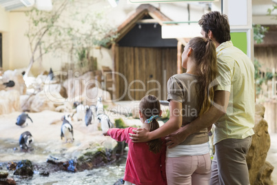 Happy family looking at penguins