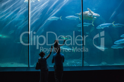 Happy family looking at fish tank