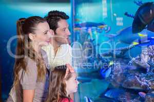 Happy family looking at fish tank