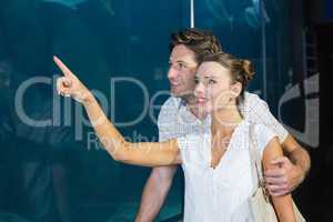 Couple looking at fish in tank