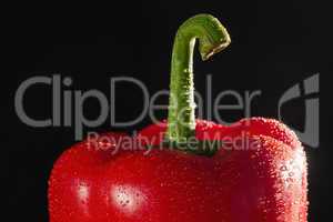 Red pepper on black background