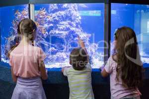 Cute children looking at fish tank