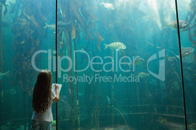 Little girl looking at fish tank