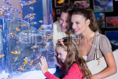 Happy family looking at fish tank