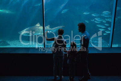 Happy family looking at fish tank