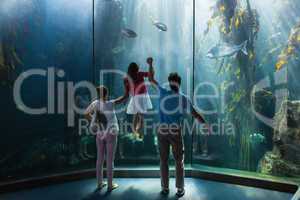 Family looking at fish tank