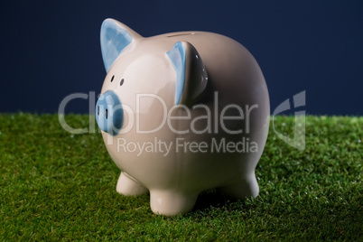 Blue and white piggy bank