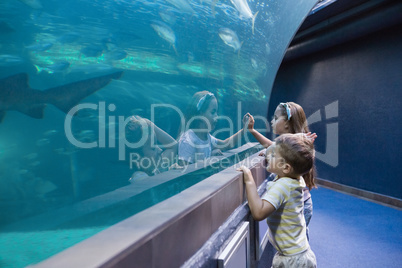 Little siblings looking at fish tank