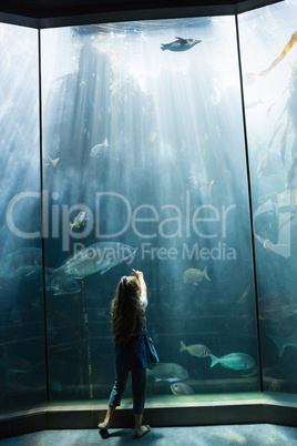 Little girl looking at fish tank